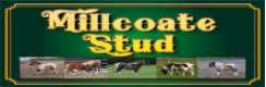 Millcoate Stud